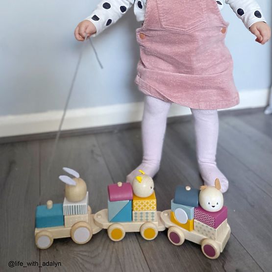 Bigjigs Baby Holzspielzeugzug mit Tieren