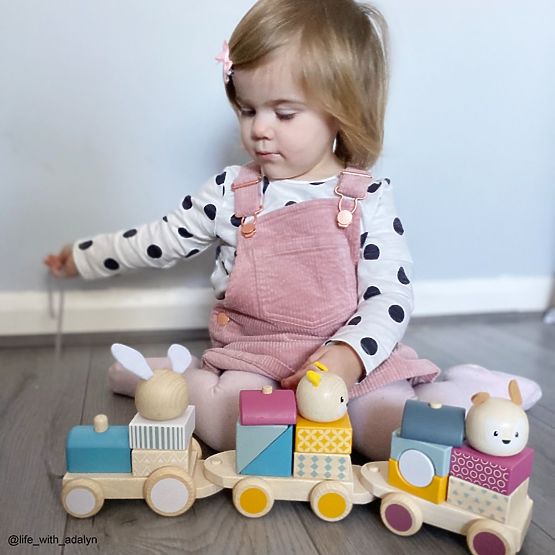 Bigjigs Baby Holzspielzeugzug mit Tieren