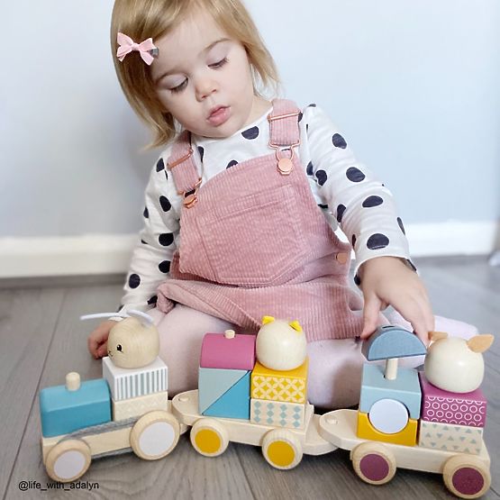 Bigjigs Baby Holzspielzeugzug mit Tieren