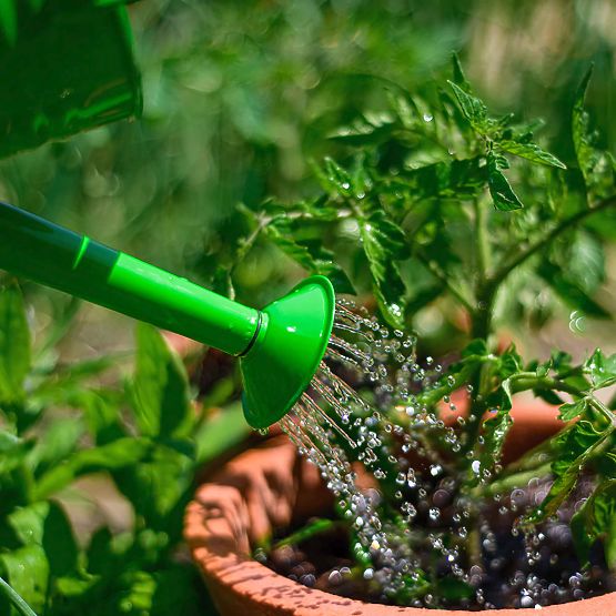 Bigjigs Toys Gartenkessel grün