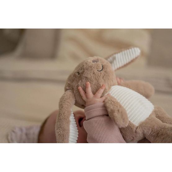 Brauner Hase mit FLOW-Herzschlag