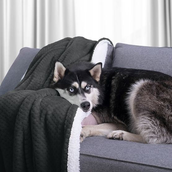 Decke SHLEEPY Farbe Graphit Jacquard geprägt klassischer Stil 170x210