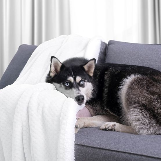 Decke SHLEEPY weiß mit Jacquard-Relief klassischer Stil 220x240