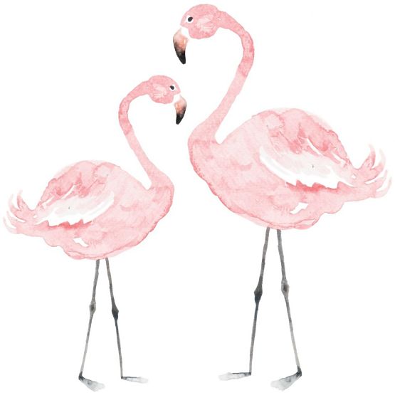 Dekoration  Wand DEKORNIK - Flamingos