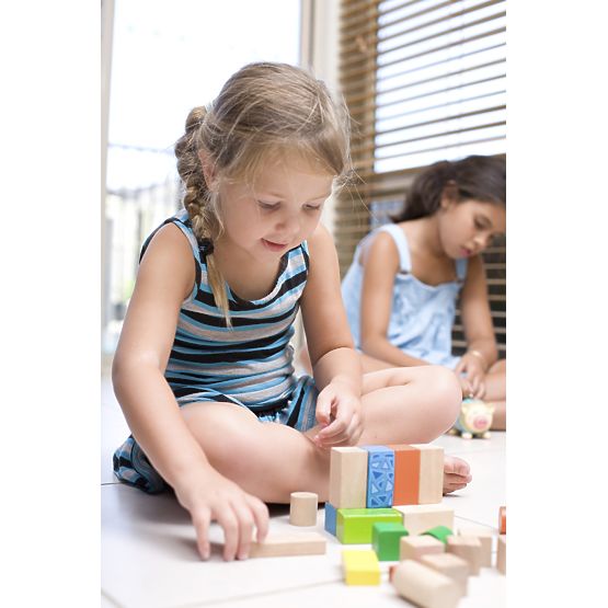 Ecotoys Holzklötze - 100 Stk