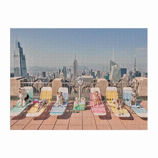 Galison Puzzle Hunde in New York Gray Malin 1000 Teile
