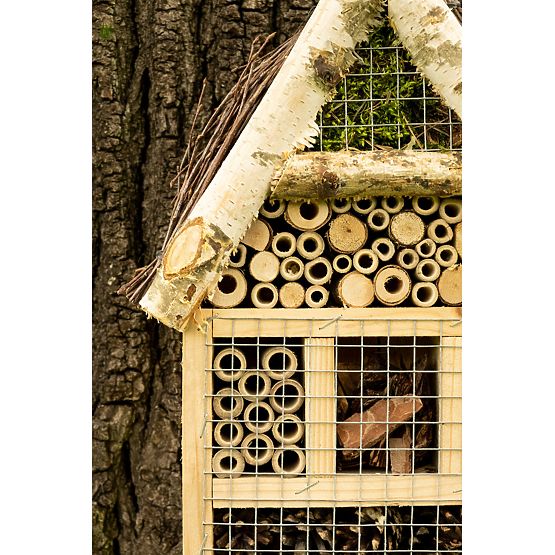 Insektenhaus fliegen