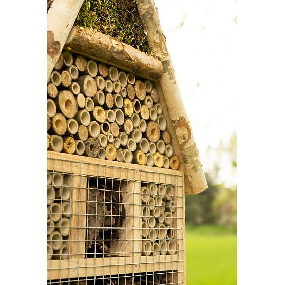 Insektenhaus - Hotel XXL