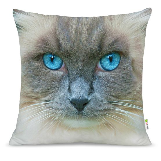 Kissen KATZE 15