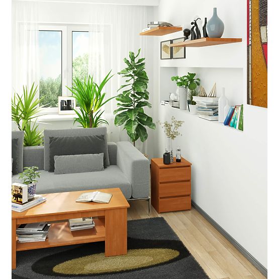 KOMMODE CL3/40 PK ERLE