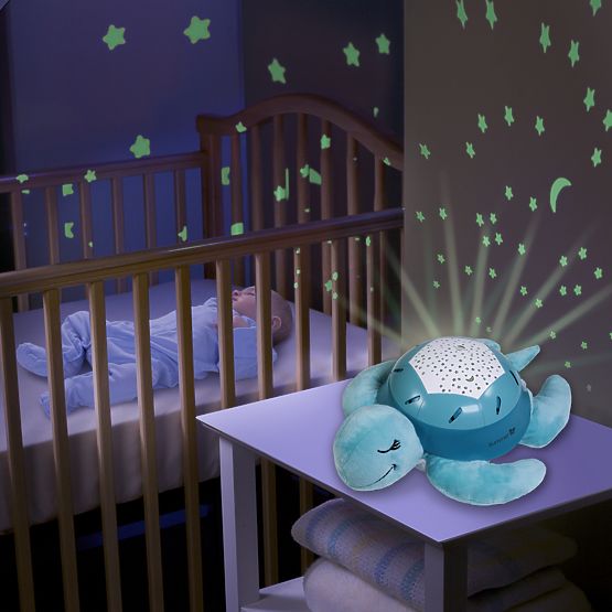 Kumpel   - shieldkröte