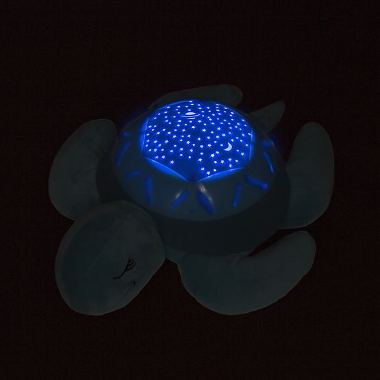 Kumpel   - shieldkröte