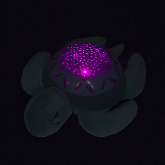 Kumpel   - shieldkröte