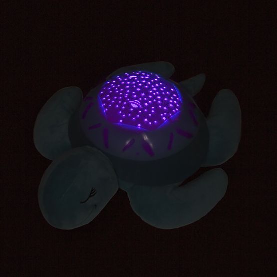 Kumpel   - shieldkröte