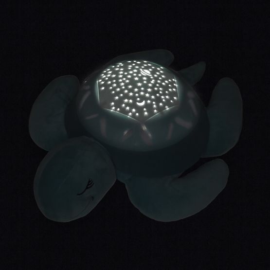 Kumpel   - shieldkröte