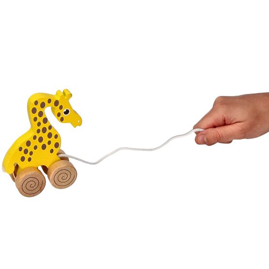 Nature Planet Zieh-Giraffe