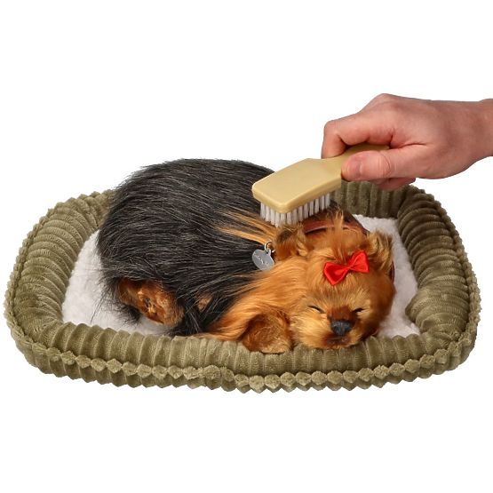 Perfect Petzzz Schnarchender Yorkie Welpe