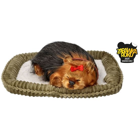 Perfect Petzzz Schnarchender Yorkie Welpe
