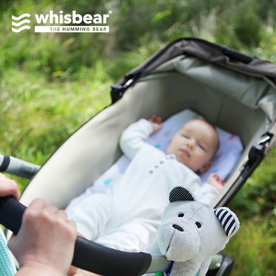 Rauschendes Bärchen Whisbear 
