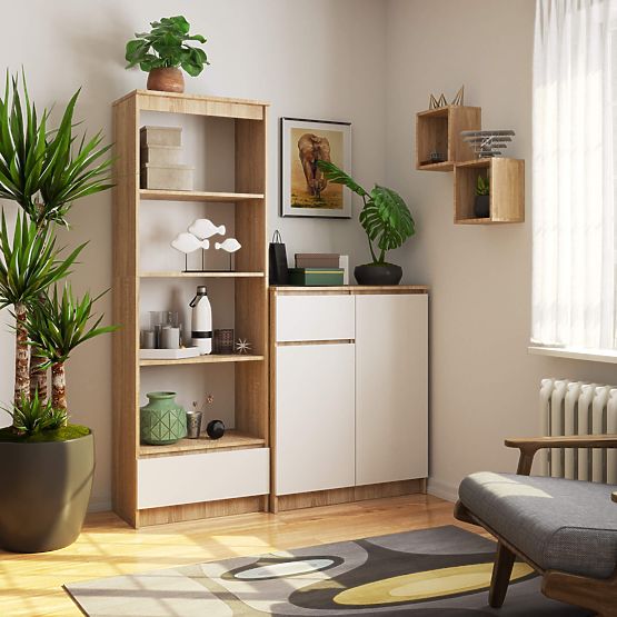 REGAL R60 1SZ 4P CLP PK SONOMA EICHE / WEISS