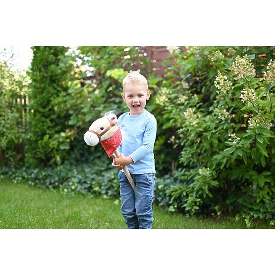 Steckenpferd Achał Hobby Horse