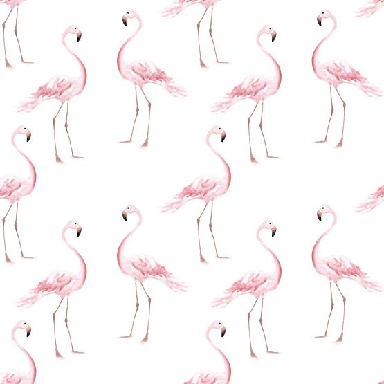 Tapete DEKORNIK Flamingos