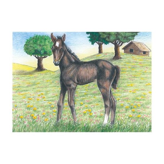 Würfelpuzzle mit Schaf