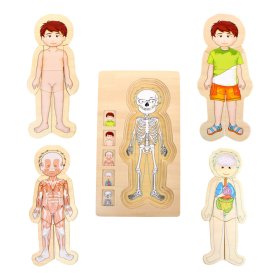 Small Foot Holzspielzeug Puzzle Anatomie Tim, Small foot by Legler