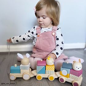 Bigjigs Baby Holzspielzeugzug mit Tieren