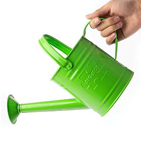 Bigjigs Toys Gartenkessel grün