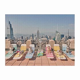 Galison Puzzle Hunde in New York Gray Malin 1000 Teile