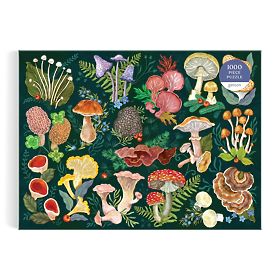 Galison Puzzle Welt der Pilze 1000 Teile
